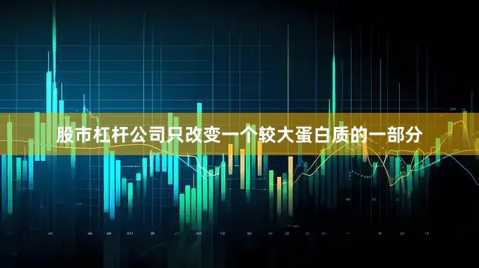 股市杠杆公司只改变一个较大蛋白质的一部分